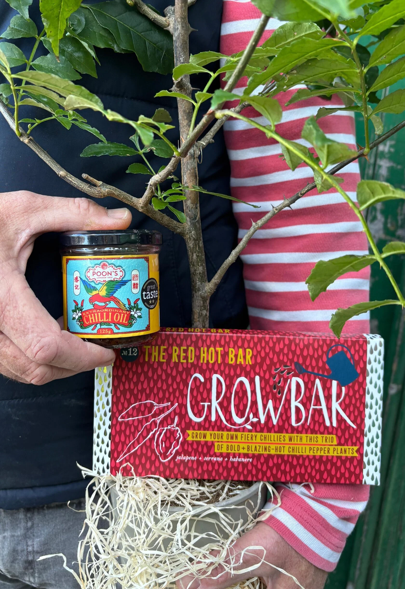 Core Sauces